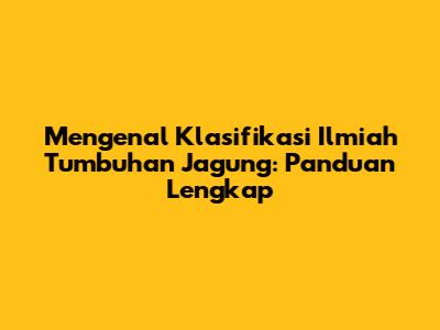 Mengenal Klasifikasi Ilmiah Tumbuhan Jagung: Panduan Lengkap