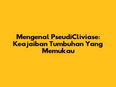 Mengenal PseudiCliviase: Keajaiban Tumbuhan Yang Memukau