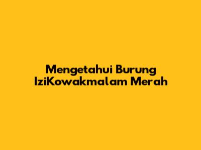 Mengetahui Burung IziKowakmalam Merah