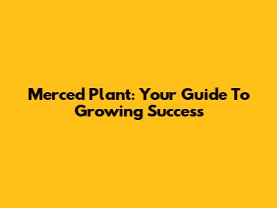 Merced Plant: Your Guide To Growing Success