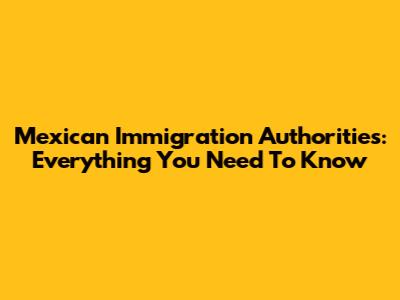 Mexican Immigration Authorities: Everything You Need To Know