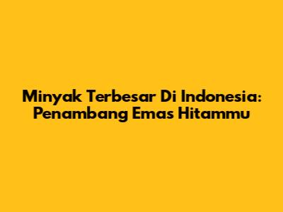 Minyak Terbesar Di Indonesia: Penambang Emas Hitammu
