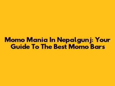 Momo Mania In Nepalgunj: Your Guide To The Best Momo Bars