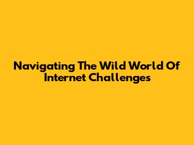 Navigating The Wild World Of Internet Challenges