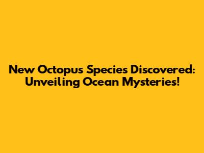 New Octopus Species Discovered: Unveiling Ocean Mysteries!