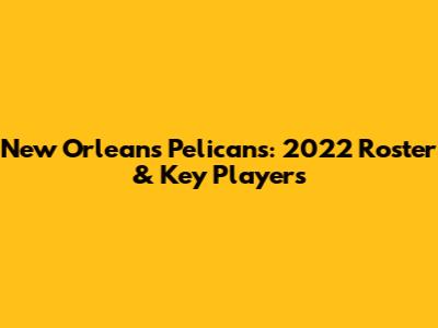 New Orleans Pelicans: 2022 Roster & Key Players