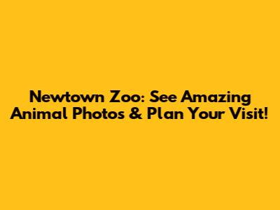 Newtown Zoo: See Amazing Animal Photos & Plan Your Visit!
