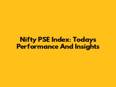 Nifty PSE Index: Today's Performance And Insights
