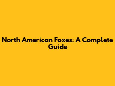 North American Foxes: A Complete Guide