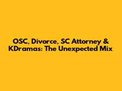 OSC, Divorce, SC Attorney & KDramas: The Unexpected Mix
