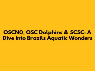 OSCN0, OSC Dolphins & SCSC: A Dive Into Brazil's Aquatic Wonders