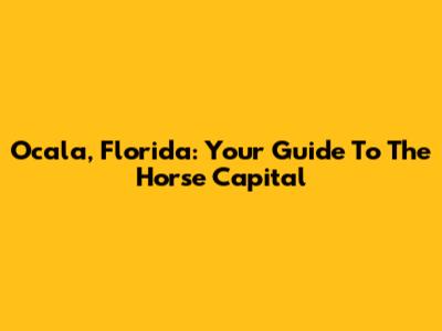 Ocala, Florida: Your Guide To The Horse Capital