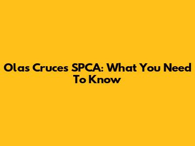 Olas Cruces SPCA: What You Need To Know