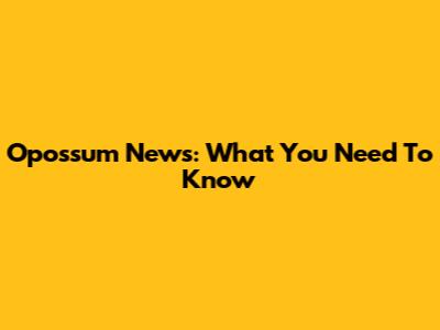 Opossum News: What You Need To Know