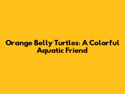 Orange Belly Turtles: A Colorful Aquatic Friend