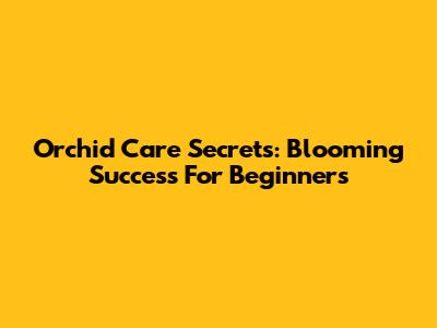 Orchid Care Secrets: Blooming Success For Beginners