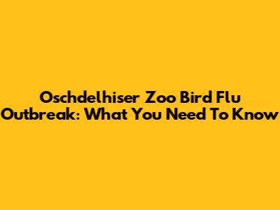 Oschdelhiser Zoo Bird Flu Outbreak: What You Need To Know