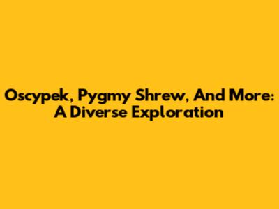 Oscypek, Pygmy Shrew, And More: A Diverse Exploration