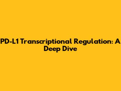 PD-L1 Transcriptional Regulation: A Deep Dive