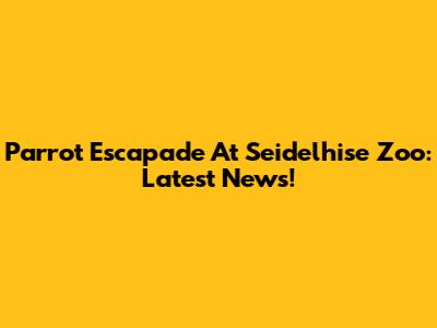 Parrot Escapade At Seidelhise Zoo: Latest News!