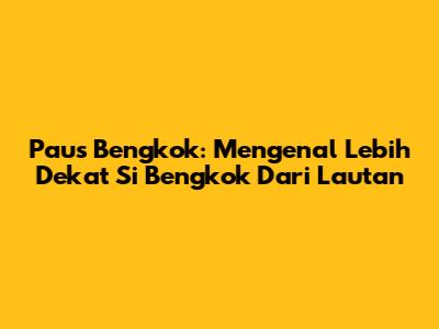 Paus Bengkok: Mengenal Lebih Dekat Si 'Bengkok' Dari Lautan