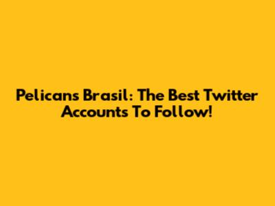 Pelicans Brasil: The Best Twitter Accounts To Follow!