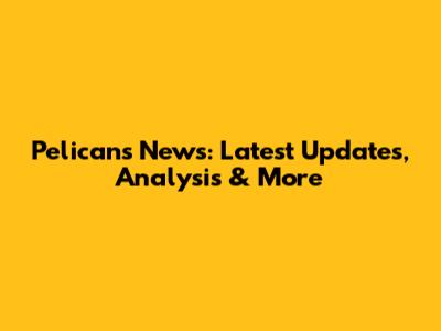 Pelicans News: Latest Updates, Analysis & More