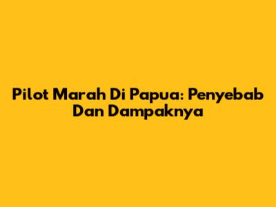 Pilot Marah Di Papua: Penyebab Dan Dampaknya