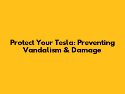Protect Your Tesla: Preventing Vandalism & Damage