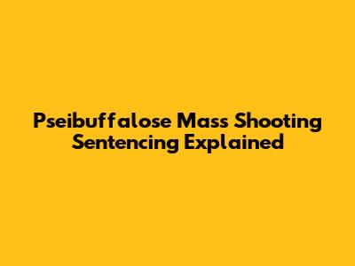 Pseibuffalose Mass Shooting Sentencing Explained