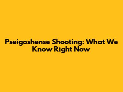 Pseigoshense Shooting: What We Know Right Now