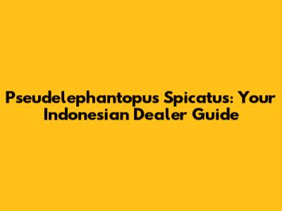 Pseudelephantopus Spicatus: Your Indonesian Dealer Guide