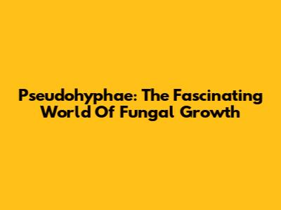 Pseudohyphae: The Fascinating World Of Fungal Growth