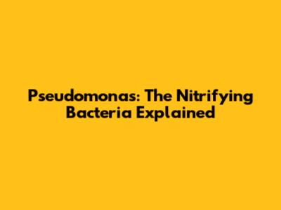 Pseudomonas: The Nitrifying Bacteria Explained