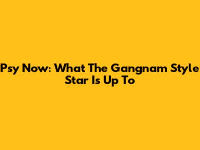 Psy Now: What The Gangnam Style Star Is Up To