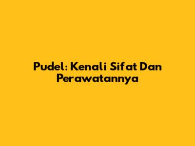 Pudel: Kenali Sifat Dan Perawatannya