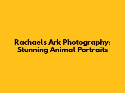 Rachael's Ark Photography: Stunning Animal Portraits