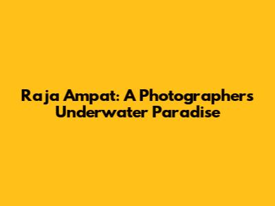 Raja Ampat: A Photographer's Underwater Paradise