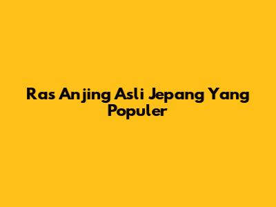 Ras Anjing Asli Jepang Yang Populer