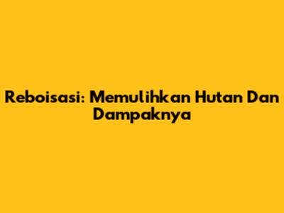 Reboisasi: Memulihkan Hutan Dan Dampaknya