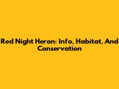 Red Night Heron: Info, Habitat, And Conservation