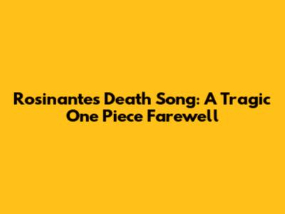 Rosinante's Death Song: A Tragic One Piece Farewell