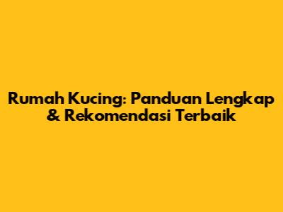 Rumah Kucing: Panduan Lengkap & Rekomendasi Terbaik