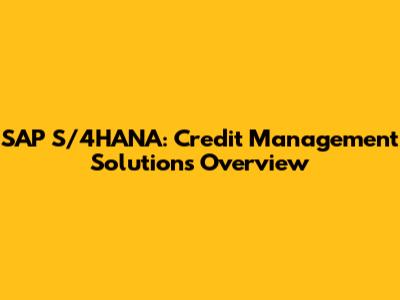 SAP S/4HANA: Credit Management Solutions Overview