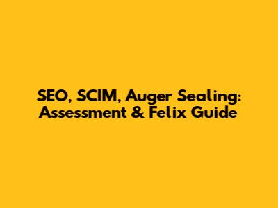 SEO, SCIM, Auger Sealing: Assessment & Felix Guide