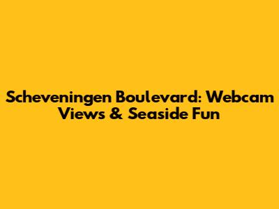Scheveningen Boulevard: Webcam Views & Seaside Fun