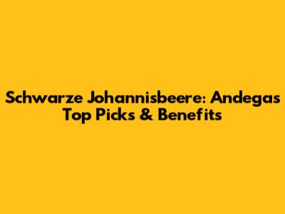 Schwarze Johannisbeere: Andega's Top Picks & Benefits