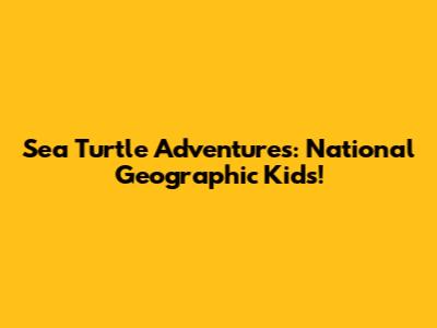 Sea Turtle Adventures: National Geographic Kids!