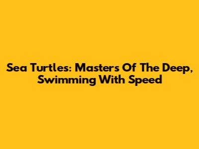 Sea Turtles: Masters Of The Deep, Swimming With Speed