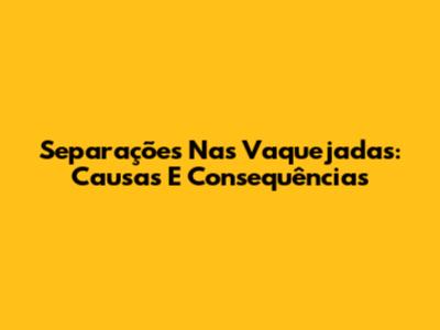 Separações Nas Vaquejadas: Causas E Consequências